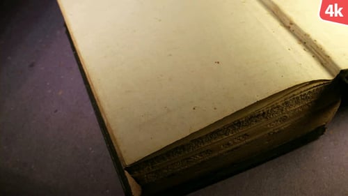 Close Up of Open Aged Book