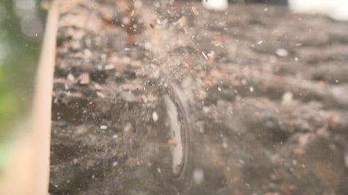 Chainsaw Cutting Through Wood Log Close Up