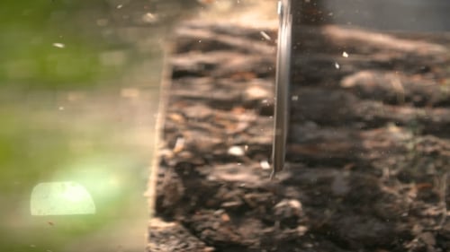 Saw Cutting Through Wood in Close Up Shot