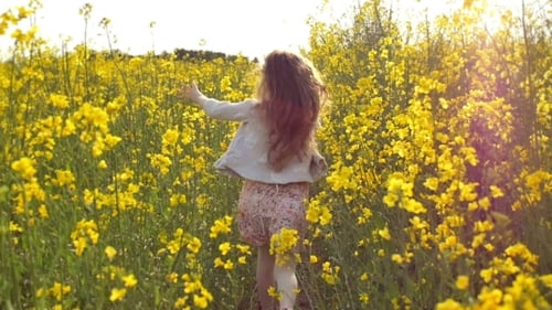 Girl Running Cross The Field At Sunset.