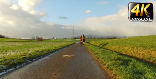 Riding Horse in Green Field and Sunny Dreamy Cloudy Day