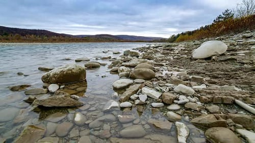 Wild Mountain River Close Up Abundant Clear Stream. Detail Static Shot of Babbling Creek with Stone