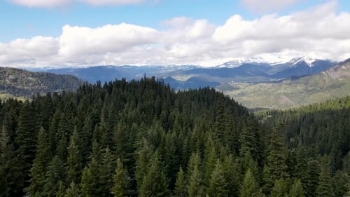 Aerial View of Evergreen Forest and Mountains