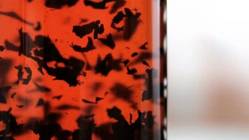 Tea Leaves Steeping in Glass of Hot Water
