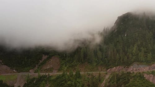 Mountainous Forest with a Narrow Rod and Fog Covering Fir Trees