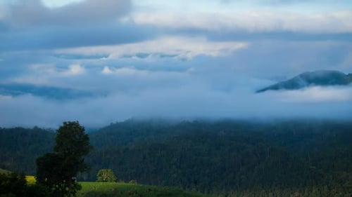 Fog On Mountain