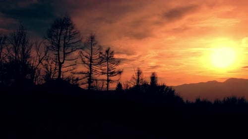 Golden Sunset Over Trees and Mountains