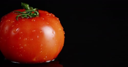 Fresh Tomato Close Up with Water Splash