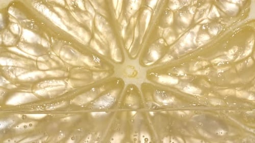 Lemon Slice in Fizzy Water, Close-Up