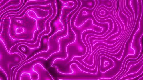 Fluid Abstract Neon Lines Background Loop