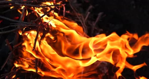 Fire