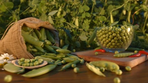 Still Life with Green Peas
