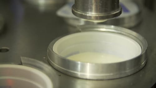 Dairy Plant Conveyor