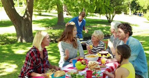 Family Having Picnic in the Park