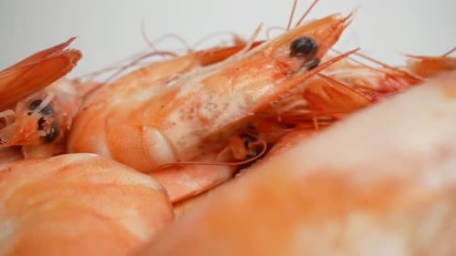 Cooked Shrimp Close Up on Wood