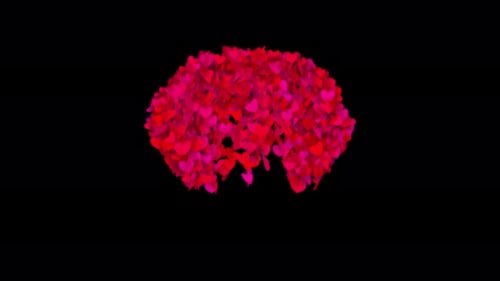 Valentines Hearts Reveal Element