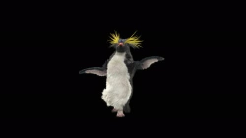 Penguin Dancing 4K