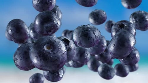 Wet Blueberries Falling and Floating in Macro Shot