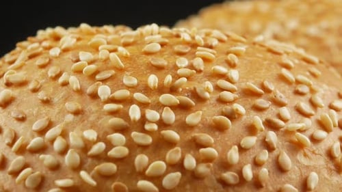 Sesame Seed Hamburger Buns Close-Up