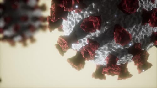Coronavirus COVID-19 Medical Model