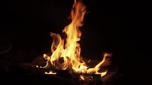 Night Romantic Bonfire in the Forest