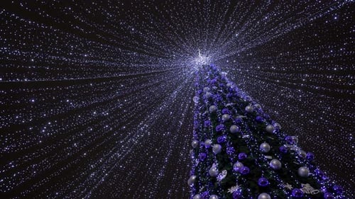 Decorated Christmas Tree with Sparkling Lights at Night