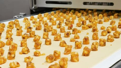 Candies Moving on Conveyor Belt Inside Factory