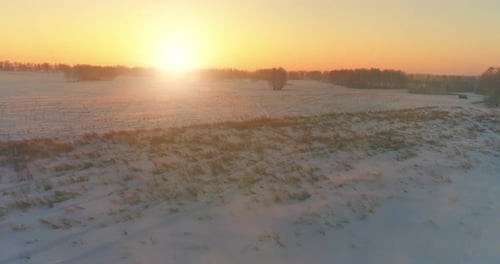 Aerial Drone View of Cold Winter Landscape with Arctic Field Trees Covered with Frost Snow and