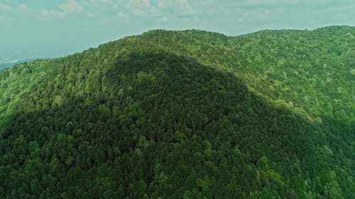 Mountain and Forest Aerial View