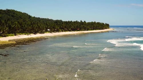 Beach on a Tropical Island