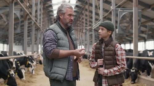 Male Dairy Farm Owner Giving Tasks to Boy