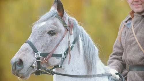 Ein Militärmann reitet auf dem Pferderücken ein weißes schönes Pferd