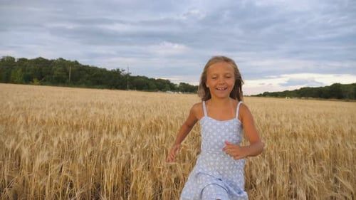 Close Up of Happy Girl with Long Blonde Hair Running To the Camera Through Barley Field. Little