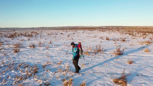 Aerial. Lonely Hiker Walks Across an Endless Snowy Field.