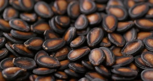Stack of black melon seed