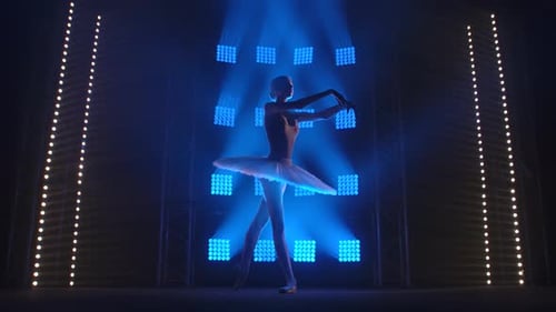 Ballerina Dances Elegantly Posing in the Spotlight