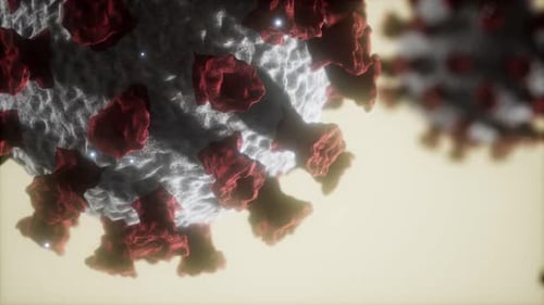 Coronavirus COVID-19 Medical Model