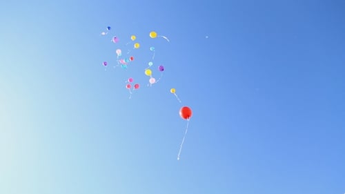 Colorful Balloons Ascend Against the Blue Sky