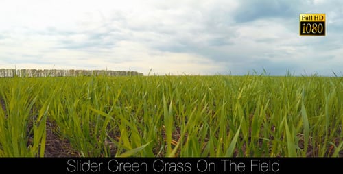 Slider Green Grass On The Field 2