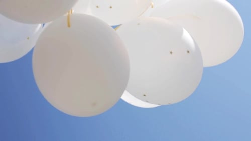 White Balloons Against a Brilliant Blue Sky