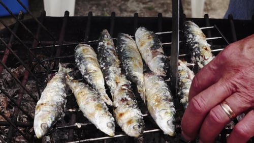 Fresh Sardines Grilling Over Charcoal