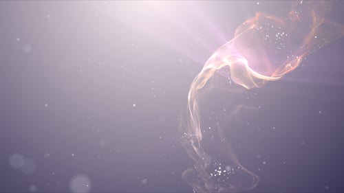 Elegance-Welle - 03
