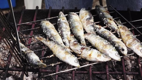 Grilling Sardines over Charcoal