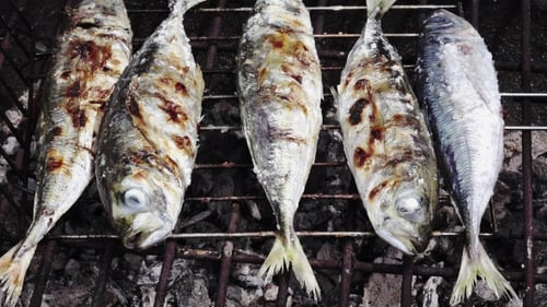 Cocinar pescado a la barbacoa