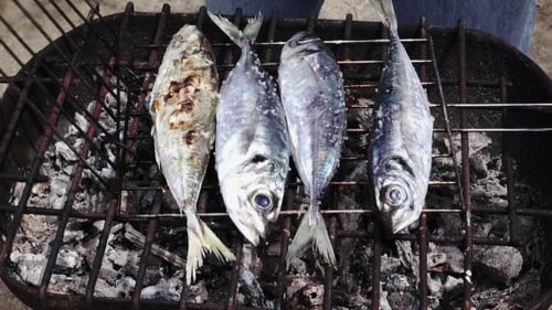 Cooking Fish On Barbeque