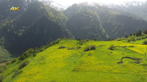 Plateau