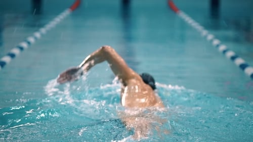 Professional Swimmer In The Pool.