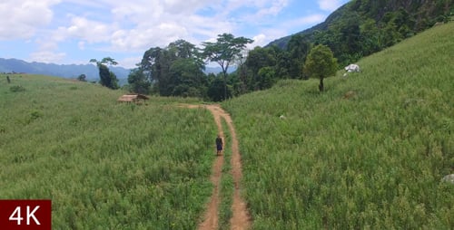 Walking Through Rural Road