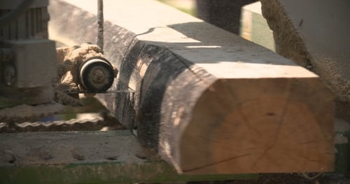 Sägewerksmaschine, die einen Ast in einen Holzbalken schneidet