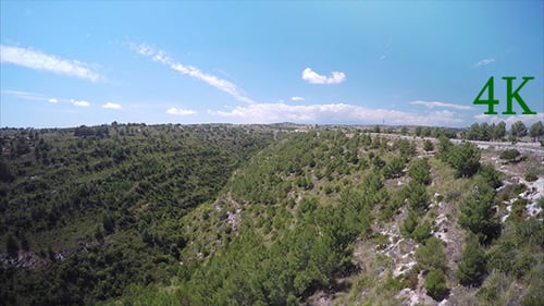Aerial Green Forest